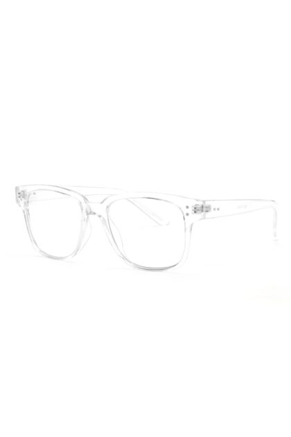 02 12 20 lightbox br 13 38 14 41 856120xn clear pr 2065 kl.jpg