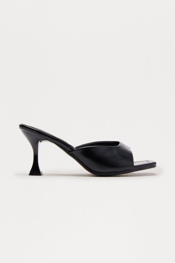 import placeholder for kaden mules main